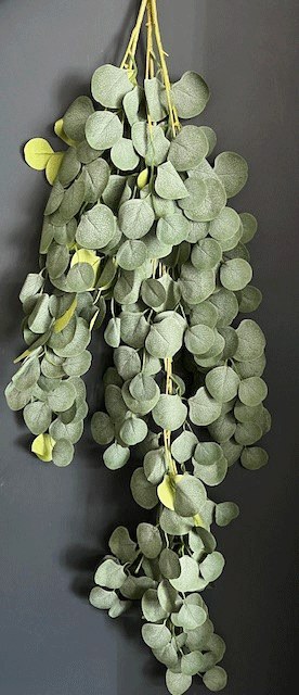 Picture of Eucalyptus Hanging Garland 132cm Frosted