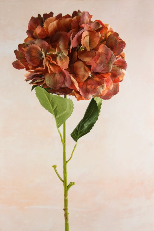 Picture of Artificial Hydrangea Flower 85cm Burnt Orange