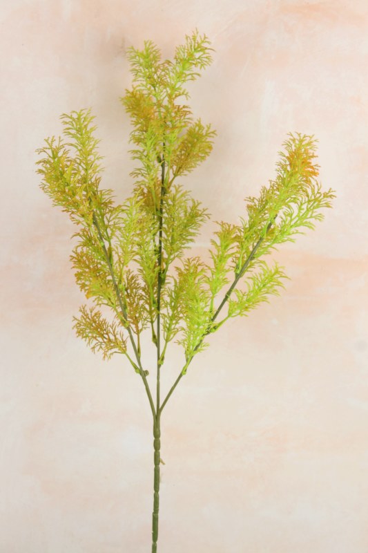 Aniseed Leaf Stem 66cm