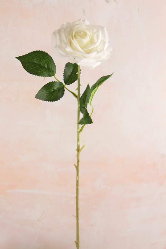 Picture of Rose Single Stem Real Touch 62cm Ivory