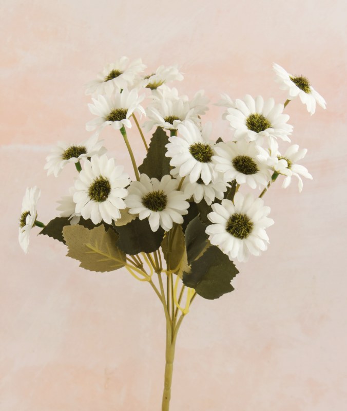 Picture of Artificial Daisy Bunch Ivory-30cm x 18 heads