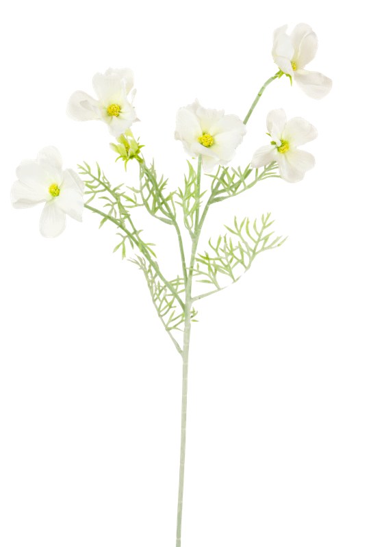 Artificial Cosmos Stem 60cm Ivory- Faux Flower Spray( 6 Heads, Flocked stem)