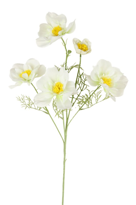 Artificial Cosmos Stem 85cm Ivory- Faux Flower Spray 5 heads, flocked stem