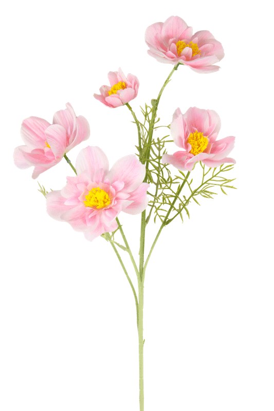 Artificial Cosmos Stem 85cm Pale Pink- Faux Flower Spray 5 heads, Flocked Stem