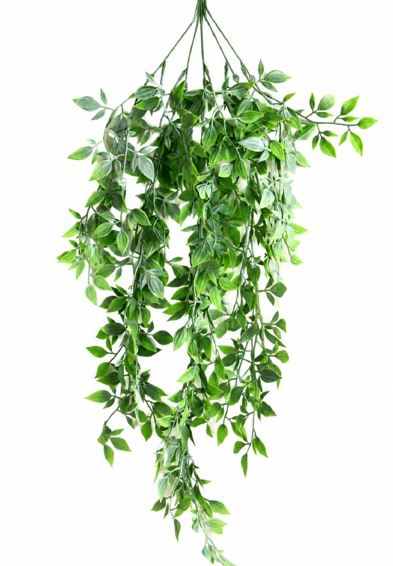 Artificial Hanging Ruscus 5 stems