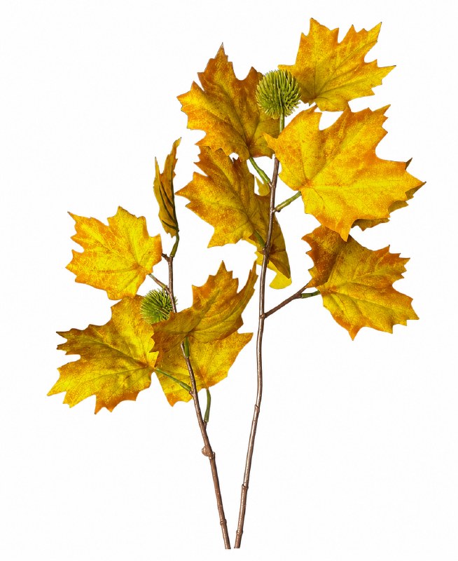 Autumn Grape leaf Yellow 28"