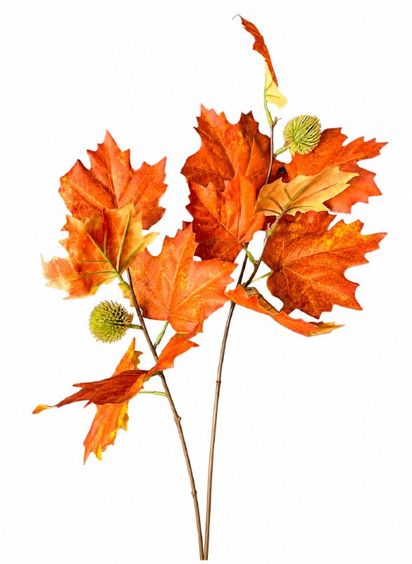 Autumn Grape Leaf Burnt Orange 28"
