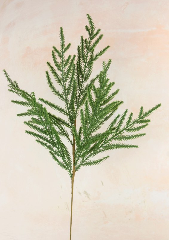 Picture of Faux Spruce Stem 24"