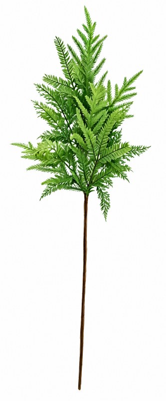 Faux Spruce Mixed Stem 34"