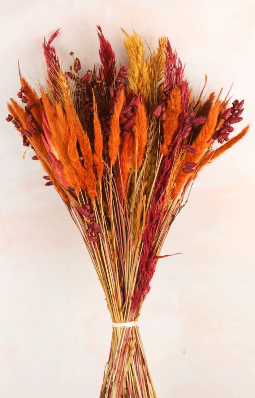 Picture of Orange Dried Mix Bouquet 38cm 100g