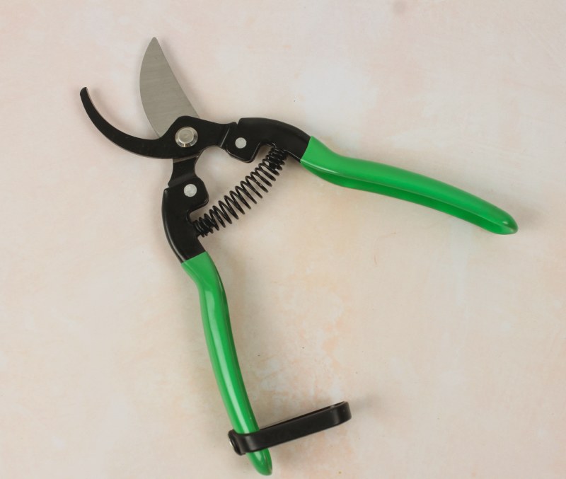 Picture of Florist Stem Bunch Cutter