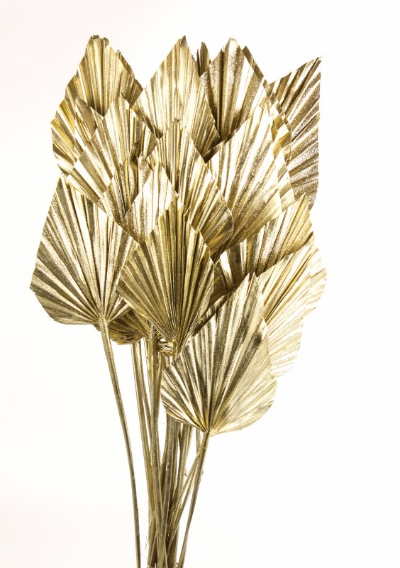 Dried PalmSpear x 20 Champagne Glitter