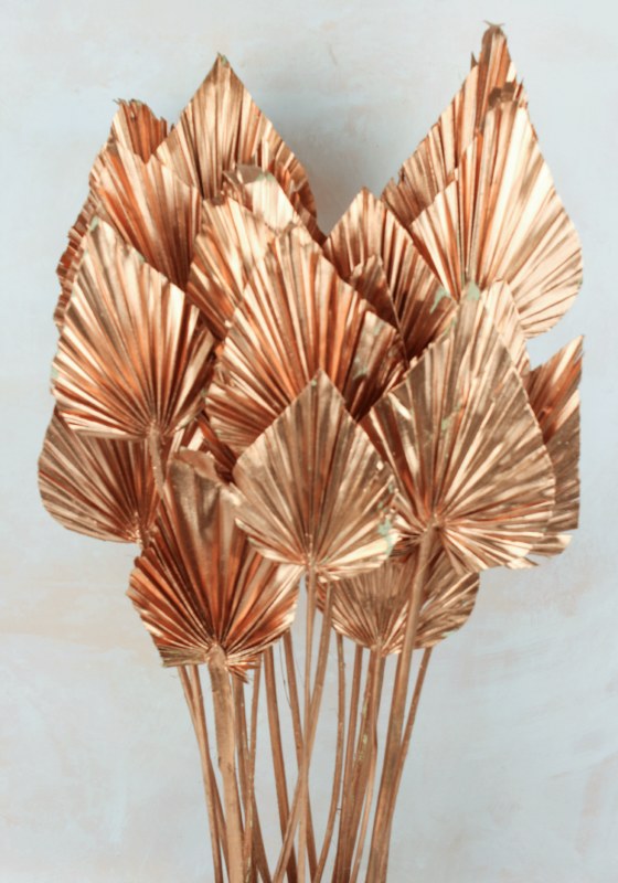 Picture of Dried Palmspear x 20 Copper