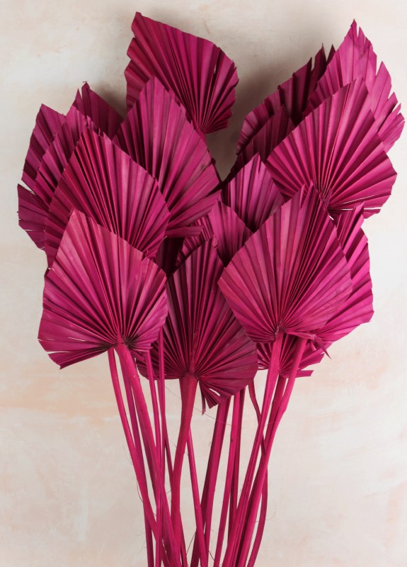 Picture of Dried PalmSpear x 20 Fuchsia