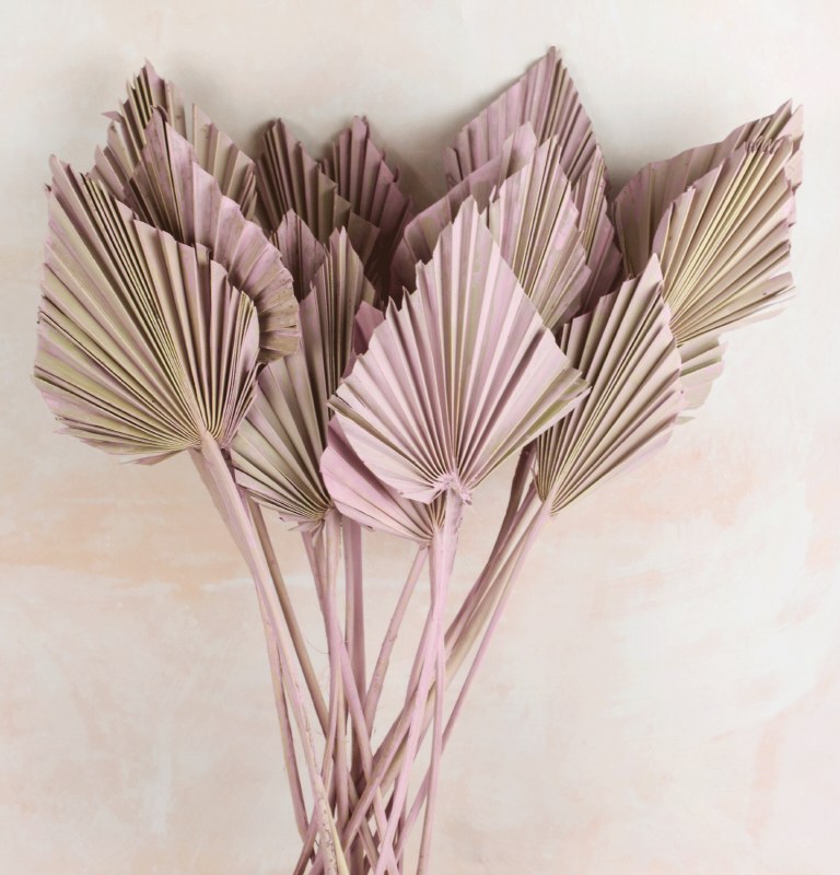 Picture of Dried PalmSpear x 20 Lilac Wash