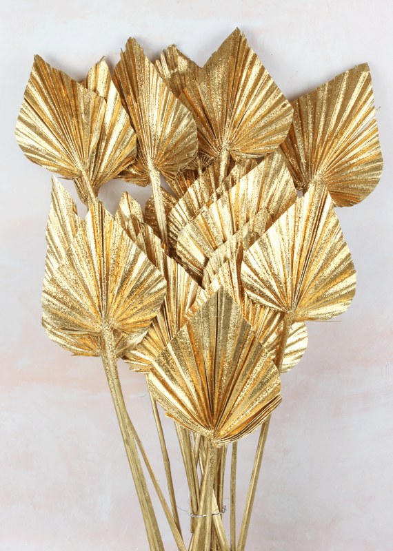 Picture of Dried Palmspear x 20 Gold Glitter
