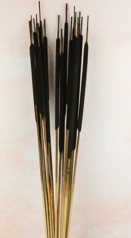 Dried Cat Tails Black x 20 Stems