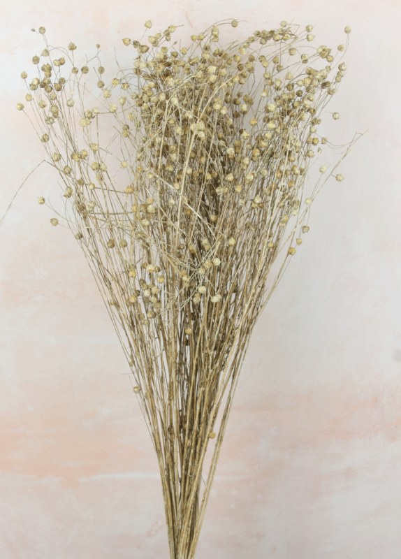 Dried Lino Grass White Wash Bundle - www.floralsundries.com : Trevor ...