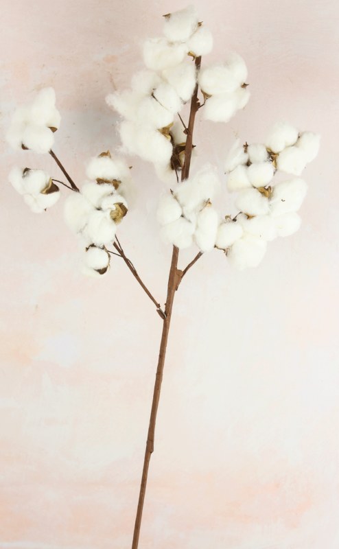 Cotton Stem Natural Handwrap