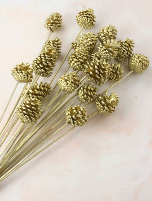 Picture of Pine Cone On Stem Champagne 20pcs 55cm approx