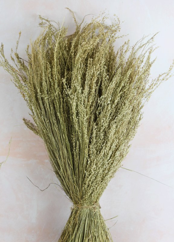 Picture of Dried Star Grass Bundle 50cm Natural