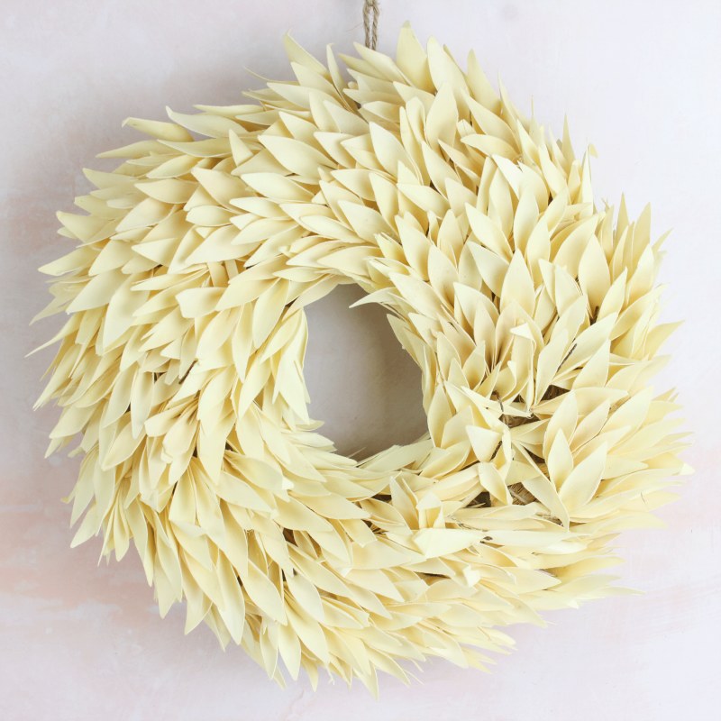 Dried Wreath Palm Bleached 30cm