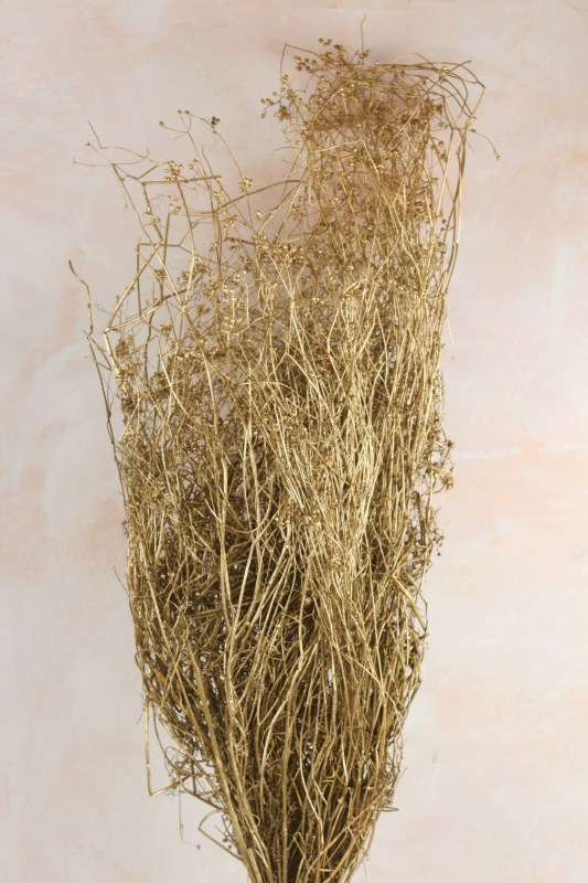 Picture of PARSI GRASS GOLD 150G 70CM GOL