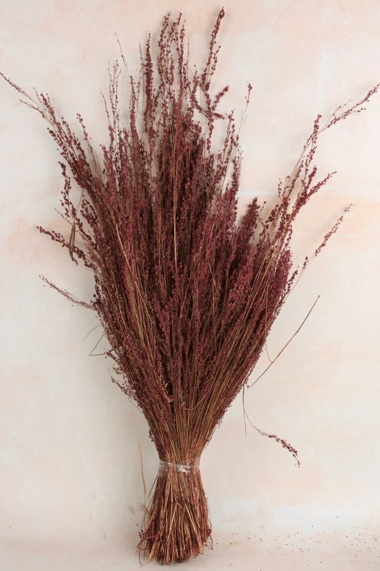 Star Grass Old Pink 150gr