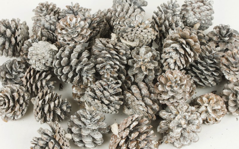 Picture of Frosted Pine Cone 1kg