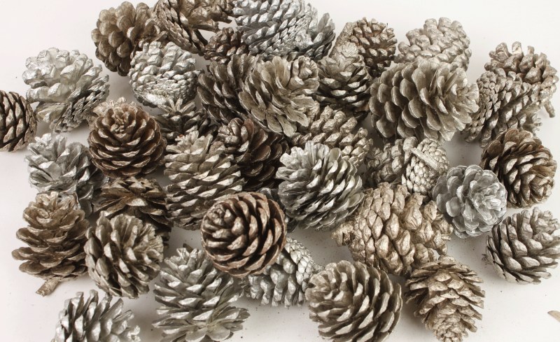 Picture of Pewter/ Champ Pine Cones 1kg