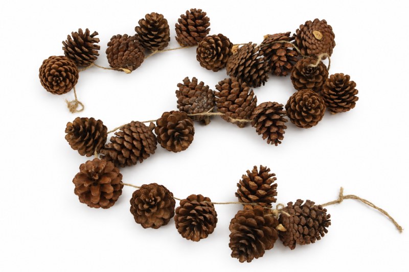 Natural Pine Cone Garland 2m