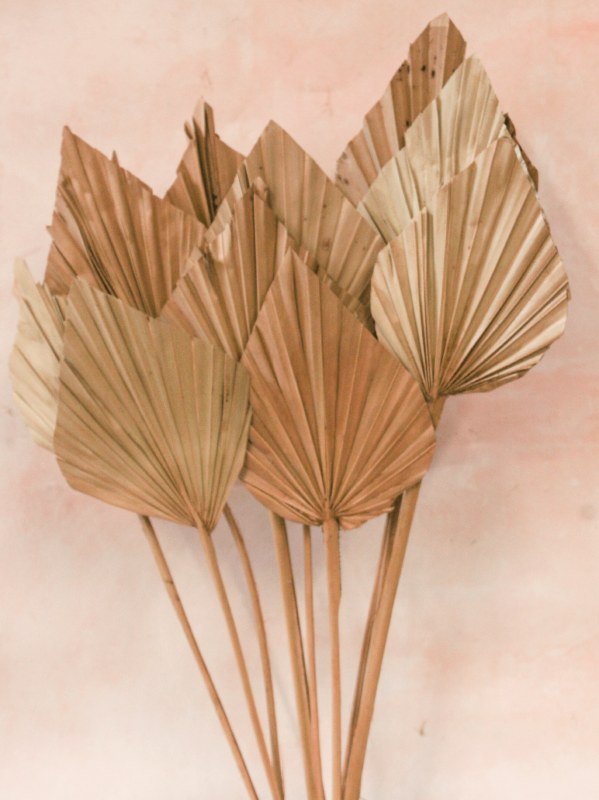 Picture of Dried Palm Spear x 10 Natural