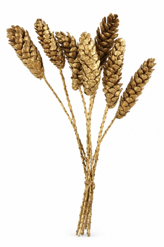 Dried Strobus Pine Cone Stem Gold 60cm