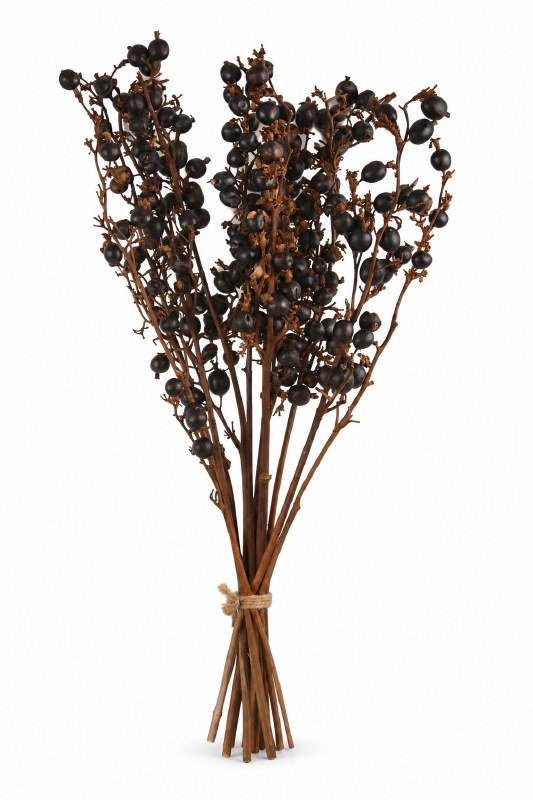 Dried Blackberry Pod Stems x 12 60cm