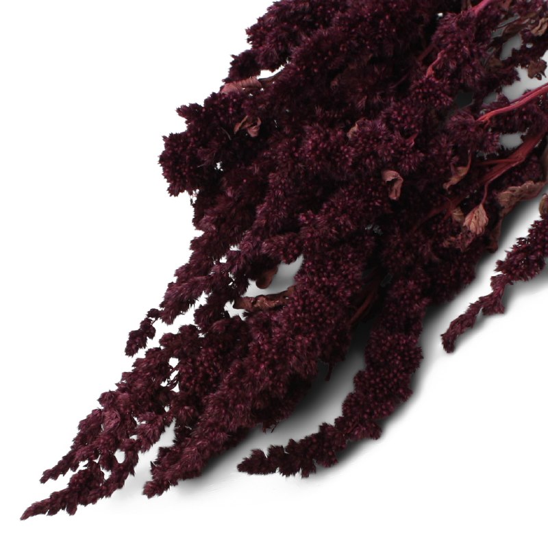 Dried Amaranthus thumb Blackberry 10-35cm 75g