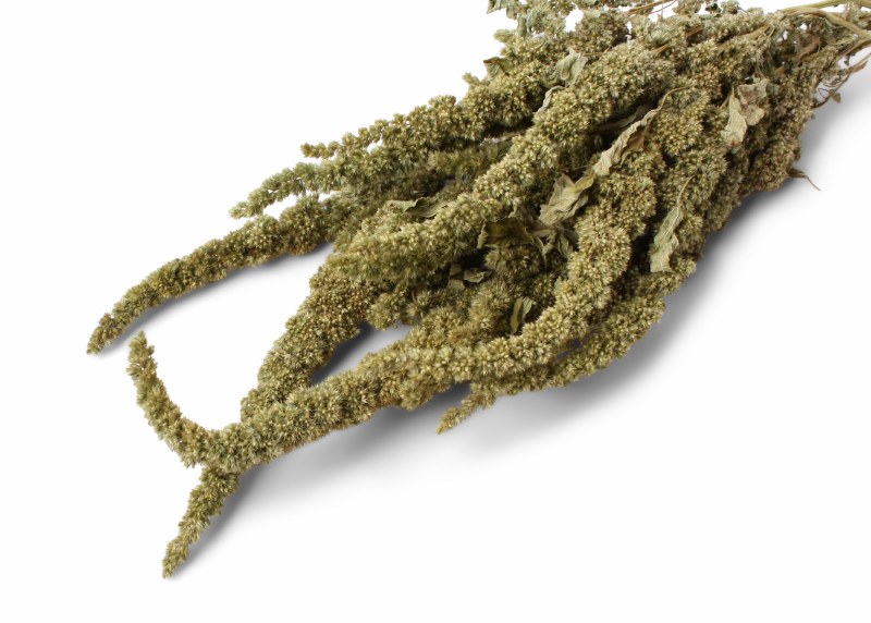 Dried Amaranthus Thumb Green 75g