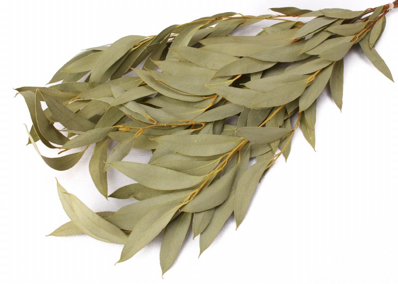 Dried Amber Foliage 100g