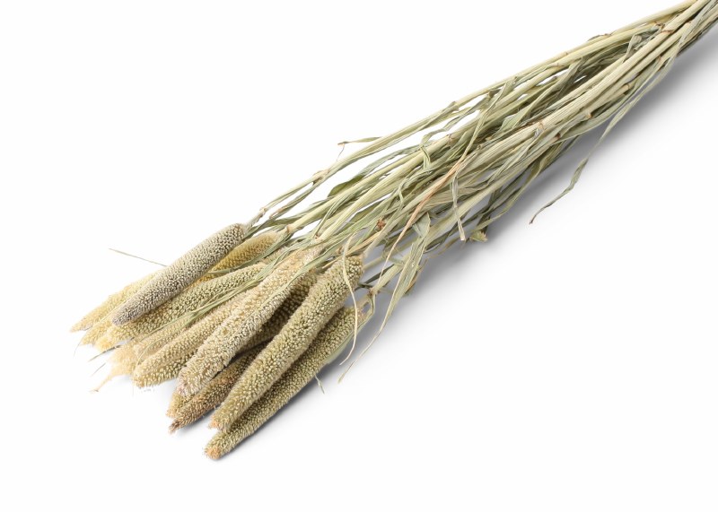 Dried Babala Stems Natural 100g