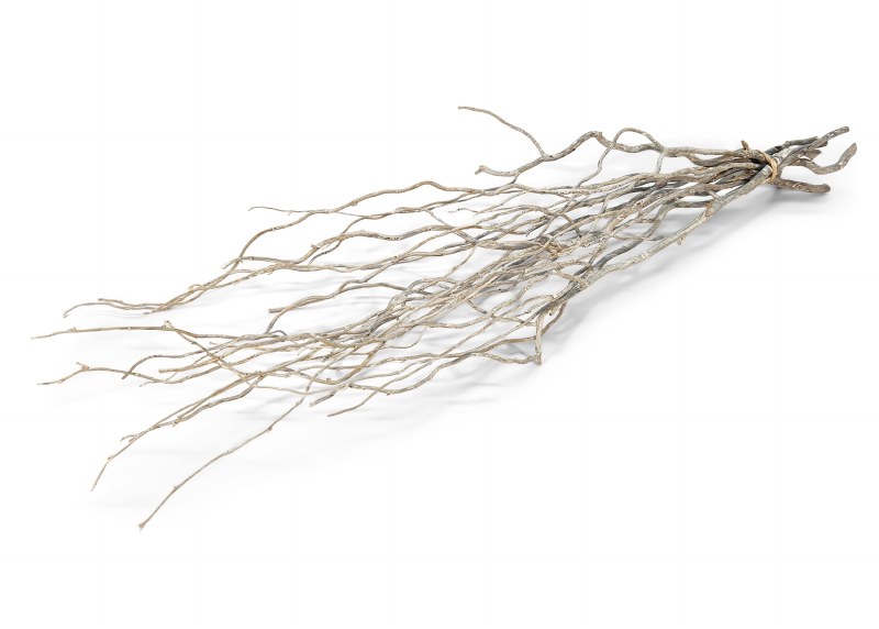 Curly Willow Bundle White Wash 50-60cm