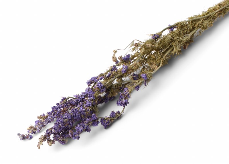 Dried Delphinium Lilac 100g
