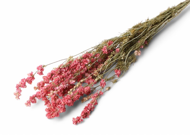 Dried Delphinium Pink 100g