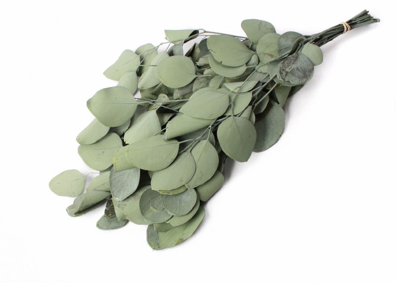 Eucalyptus Populus Asparagus Green 75g