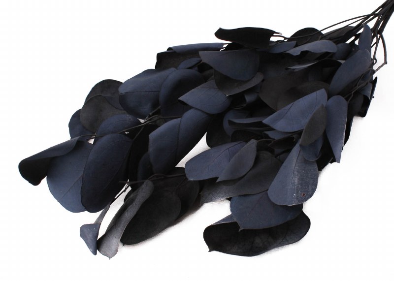 Eucalyptus Populus D.Blue 75g