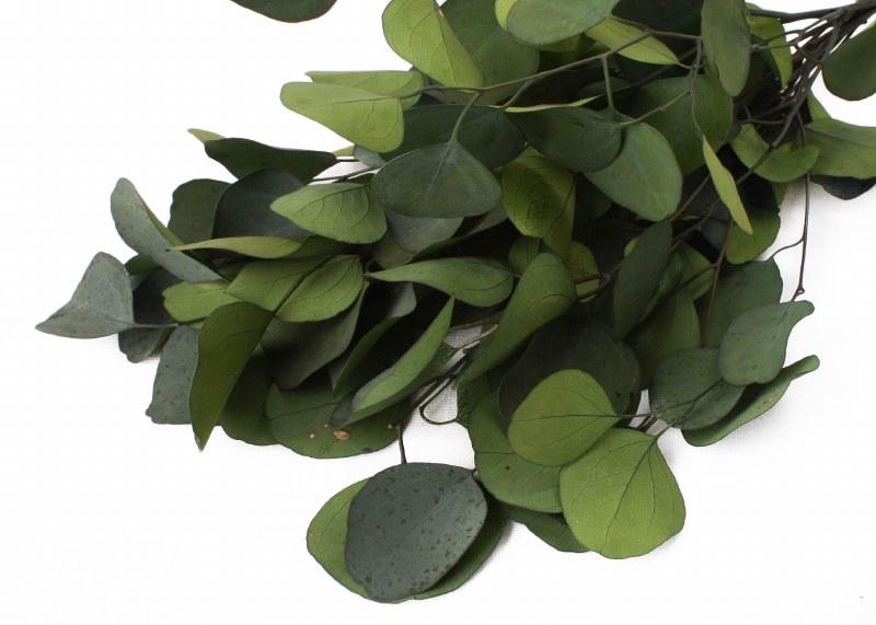 Ecualyptus Populus Green 75g