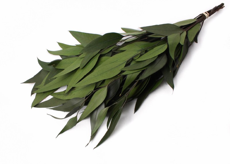 Dried Eucalyptus Willow Green 75g