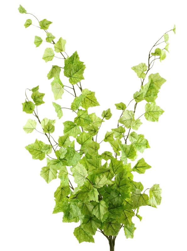 Picture of Artificial Ivy Bundle 69cm Light Green
