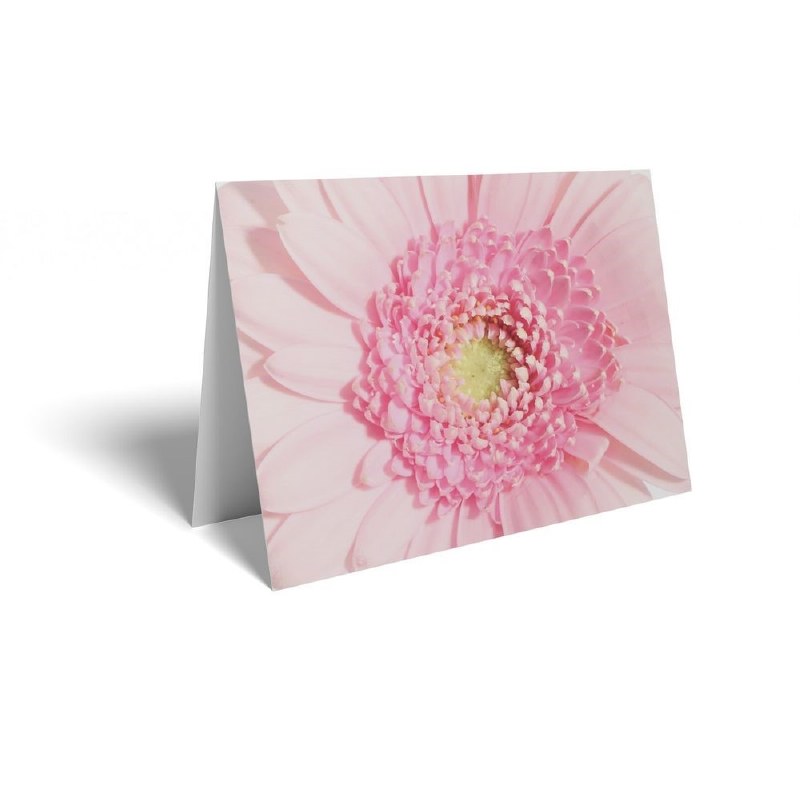 Picture of Florist Folding Cards x 25 Pink Gerbera