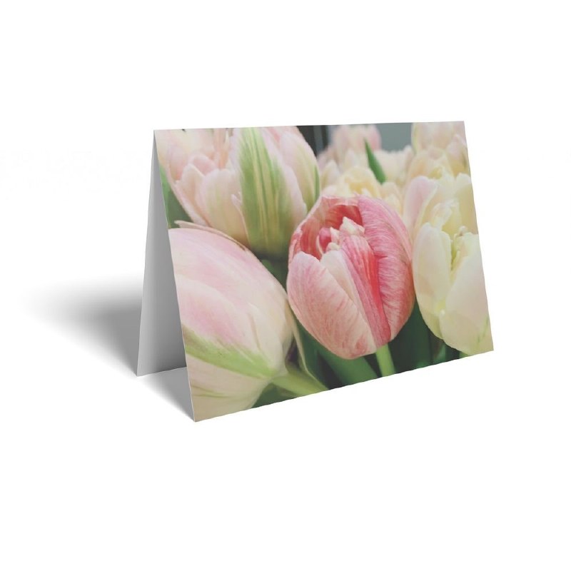 Florist Folding Cards x 25 Tulips