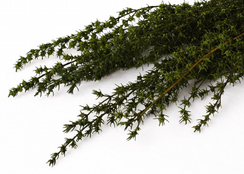 Dried Grabia Basil 75g