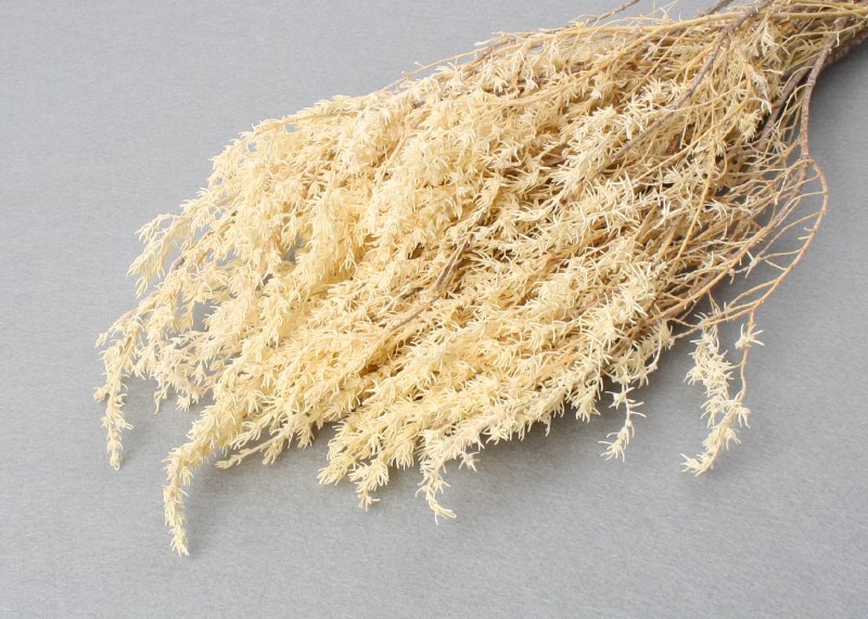 Dried Grabia Bleached 50g